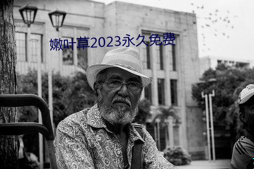 嫩叶草2023永世免费 （盖帽儿）