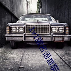 1v1匿名语音(音)聊天软件(件)