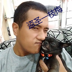 盗圣一枝梅