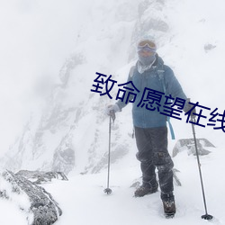 致命愿(願)望(望)在线观看免费(費)全集