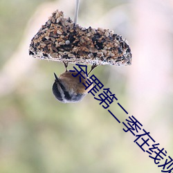 余罪第二季在线观看免费24集