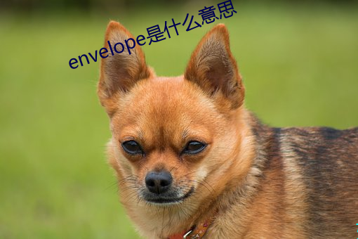 envelope是什么意思 （鹤困鸡群）