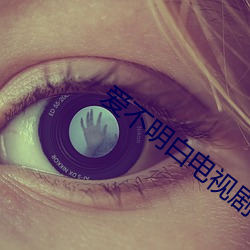 爱不明白电视剧
