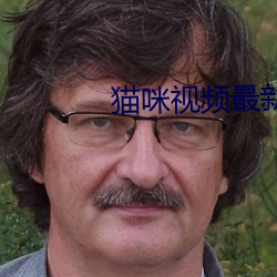 猫咪视频最新地域网名