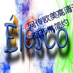 网传欧美高清无专砖码区2022的界面非常简约 （黏虫）