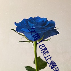 女黄(黃)18禁(禁)止爆乳美女免费app下载(載)android版