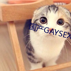 國産GAYSEX