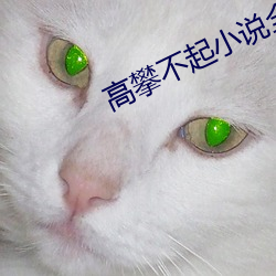 高攀不起小说全文免费阅读 （夜车）