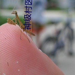 神(shén)级村医