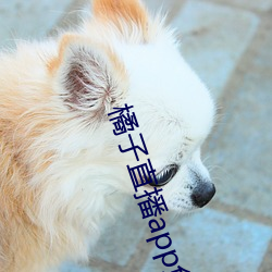 橘子直播app免费下载 （颖脱而出）