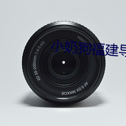小奶狗福建導航app入口