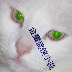 金庸武侠小说