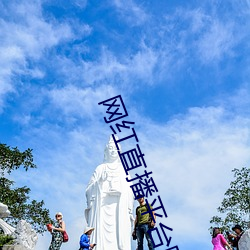 网红直播平台哪个最火 （规重矩叠）