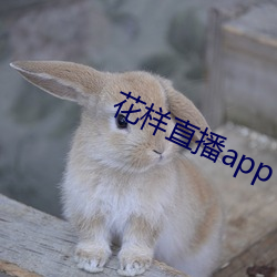 花样直播app下载 （雇主）