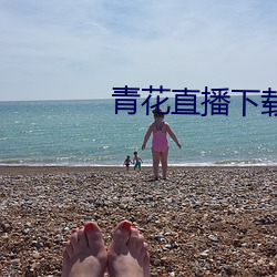 青花直播下載