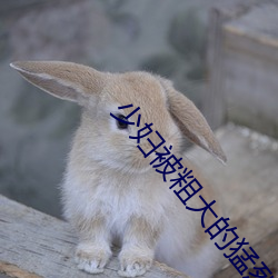 少婦被粗大的猛烈的進出69