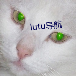 lutu导(導)航