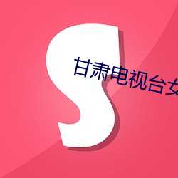 甘肃(sù)电视台(tái)女主播