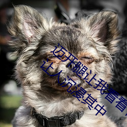 迈(mài)开腿(tuǐ)让(ràng)我(wǒ)看看你的草莓(méi)图片感受:一打(dǎ)开就(jiù)让(ràng)人沉浸其中