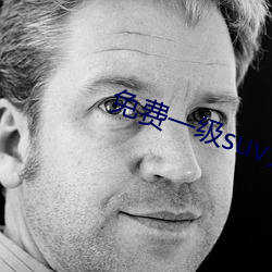 免費一級suv大全免費