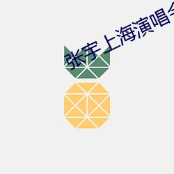 張宇上海演唱會演唱小小的太陽視頻