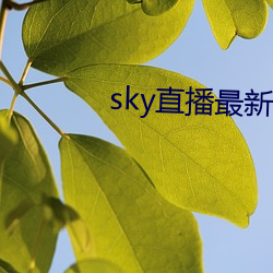 sky直播最新破解版 （开氏温标）