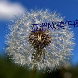 亚洲欧美午夜情8666 （报数）