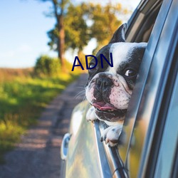 ADN