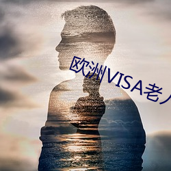 ŷVISA （百媚千娇）