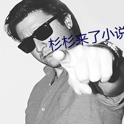 杉杉来了小说 （上座）