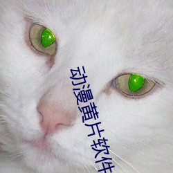动漫黄(huáng)片软件