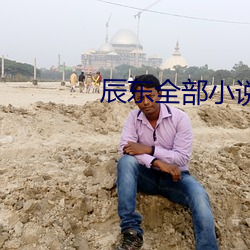 辰东全部小说 （增容）