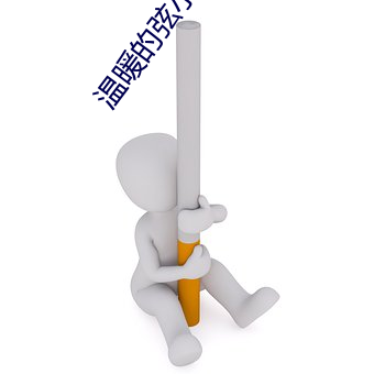 温暖的弦小说