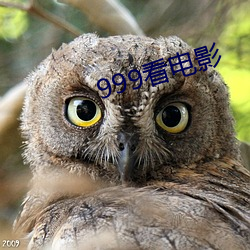 999看电(diàn)影