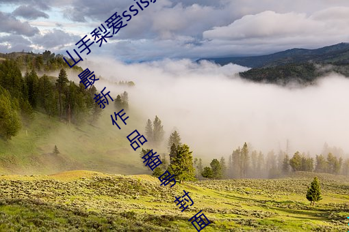 山手梨愛ssis新作番號介紹 山手梨愛ssis最新作品番號封面