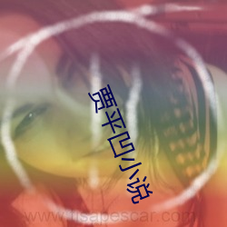 贾平凹小说(說)