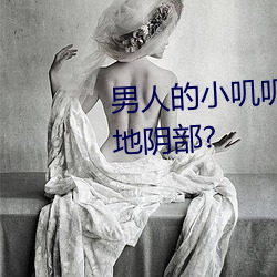 男人的小叽叽可不可以插进女性地阴部?