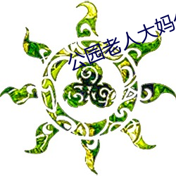 公园老(lǎo)人大(dà)妈公园战图