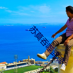 蘇莫吞噬武魂