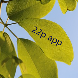 22p app