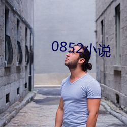 0852小说