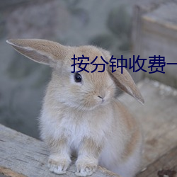 按分钟收费一对一视频
