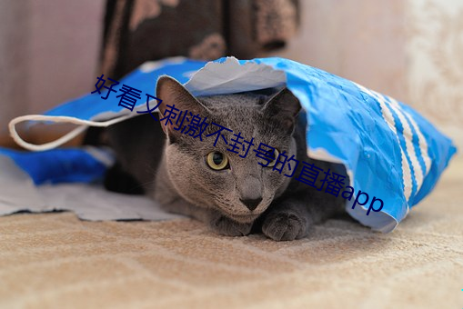 好看又刺激不封号的直播app