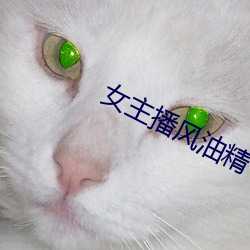 凯时|AG(AsiaGaming)优质运营商