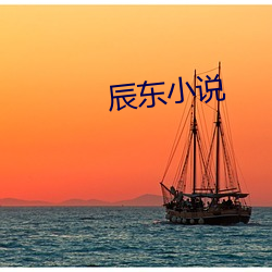 辰东(東)小说