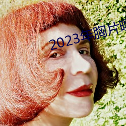 2023年胸片曝光