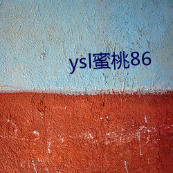 ysl蜜(mì)桃86