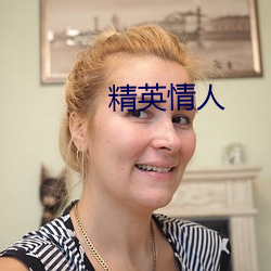 精英情人