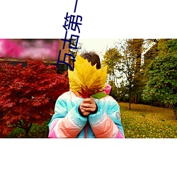 万古第(dì)一婿(xù)