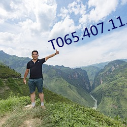 T065.407.11.031.00